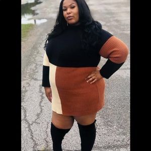 Sweater Dress (plus size)